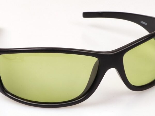 Photochromic polarized sunglasses