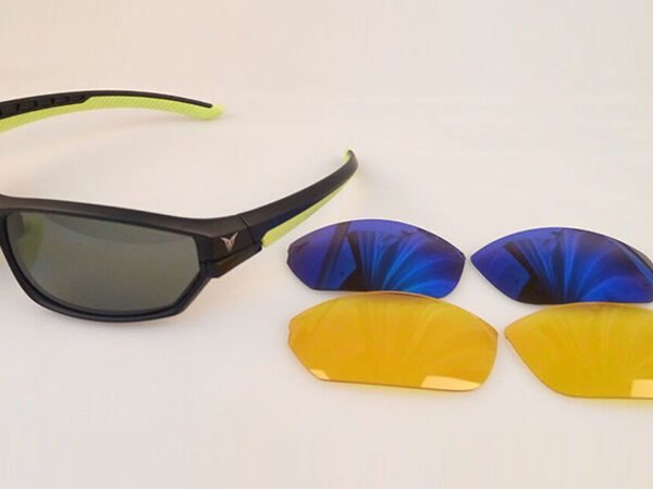 Sunglasses with interchangeable lense
