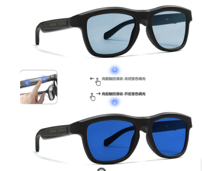 Voice Control Glasses