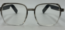 Voice Control Glasses