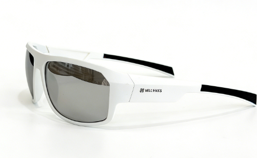 PC frame sunglasses