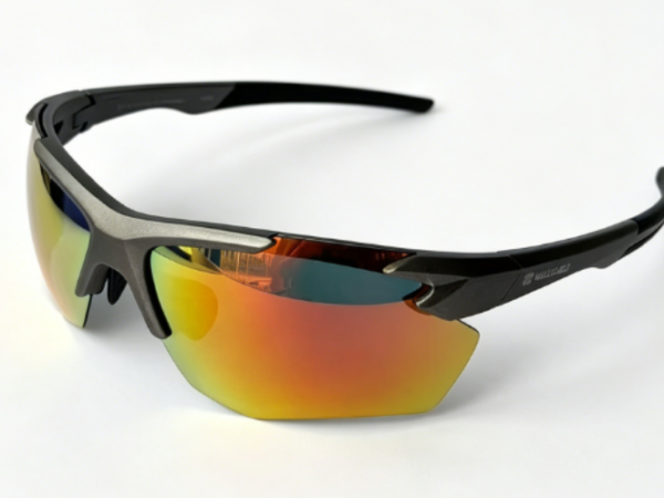 PC frame sunglasses