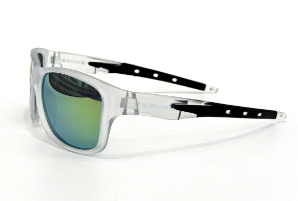 PC frame sunglasses