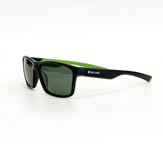 PC frame sunglasses
