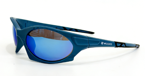 PC frame sunglasses
