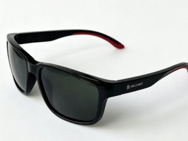 PC frame sunglasses