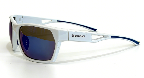 PC frame sunglasses
