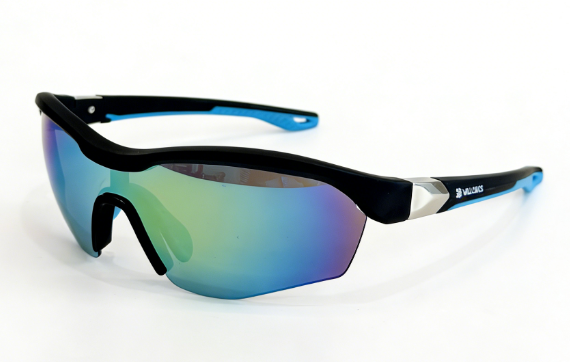 PC frame sunglasses